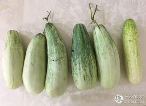 吃瓜群众黄瓜微信,揭秘网络红人的瓜田生活