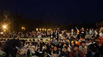 演唱会吃瓜群众,吃瓜群众的狂欢盛宴