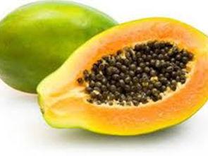 吃瓜能吃籽吗,揭秘瓜籽的食用奥秘