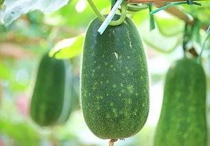 今日吃瓜今日吃瓜必吃,紧跟热点，必吃必看精彩瞬间