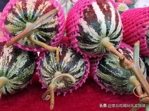 章丘高官寨吃瓜