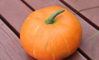 秋季吃瓜益处,吃瓜也能带来意想不到的益处