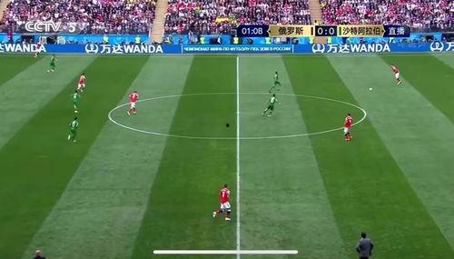 吃大瓜世界杯,吃大瓜，畅享足球狂欢