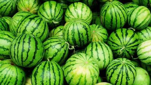 南京交通职业吃瓜