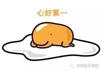 吃瓜被骗还被骂