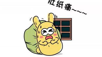 吃瓜群众的礼包