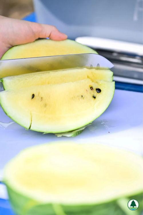 吃瓜网贴吧,热门话题背后的真相与笑料