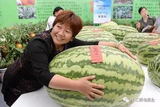 单位组织吃瓜比赛