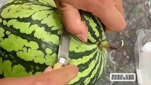平时吃的西瓜怎么叫瓜,揭秘西瓜的别称与食用文化