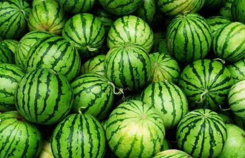 吃瓜吃什么,揭秘各种瓜果的搭配与美味