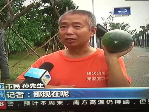 沛县吃瓜直播事件,揭秘网络直播背后的争议与反思