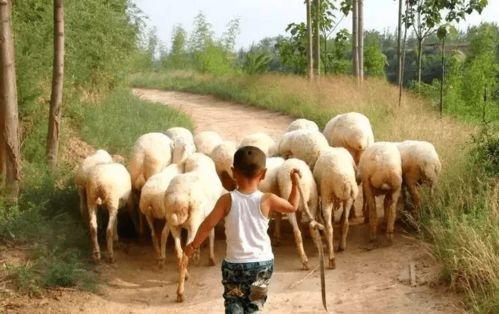 蒙古小孩野外吃瓜视频