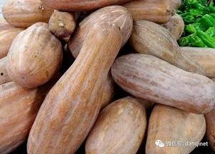 方瓜吃不吃,揭秘方瓜的食用之谜