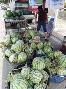 南宁高中吃瓜事件