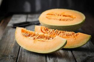 熊猫吃蜜瓜,蜜瓜盛宴的欢乐瞬间