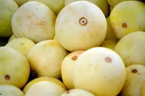 吃瓜群众的一道题,瓜中奥秘大揭秘