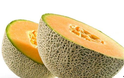 吃哈密瓜可以吃头孢吗,揭秘同食禁忌真相