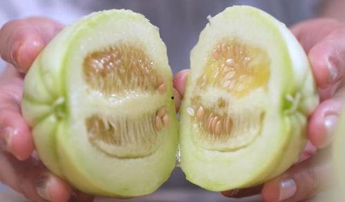 什么瓜加皮子吃