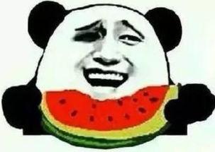 吃瓜群众看三体,揭秘宇宙奥秘，探寻人类命运